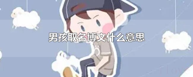 男孩取名博文什么意思