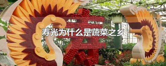 寿光为什么是蔬菜之乡