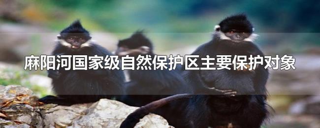 麻阳河国家级自然保护区主要保护对象
