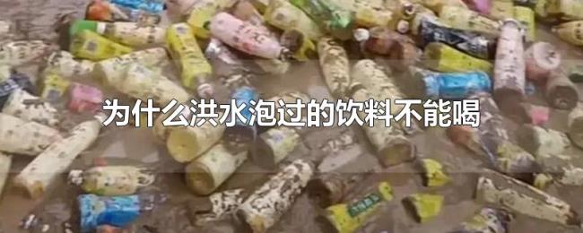 为什么洪水泡过的饮料不能喝