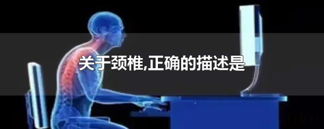 关于颈椎,正确的描述是 关于颈椎,正确的描述是