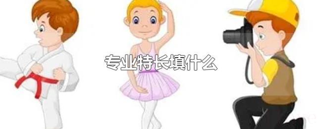 专业特长填什么