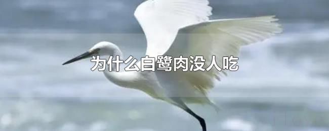 为什么白鹭肉没人吃