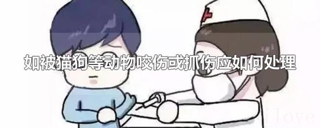 如被猫狗等动物咬伤或抓伤应如何处理