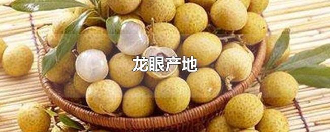 龙眼产地 龙眼产地