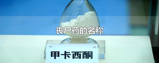 丧尸药的名称
