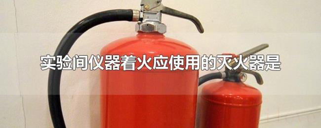 实验间仪器着火应使用的灭火器是
