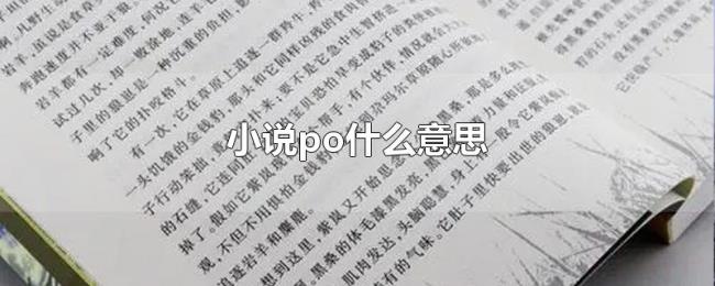 小说po什么意思