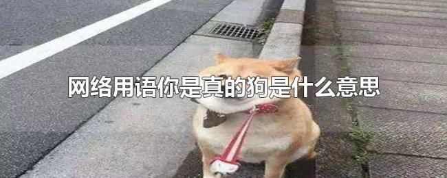 网络用语你是真的狗是什么意思