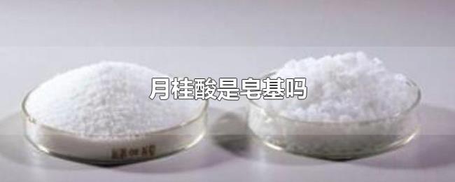 月桂酸是皂基吗 月桂酸是皂基吗
