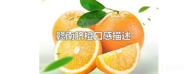 赣南脐橙口感描述