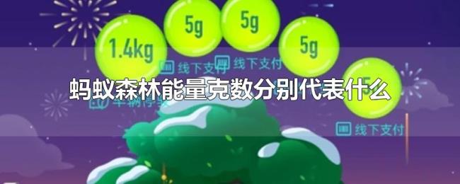 蚂蚁森林能量克数分别代表什么