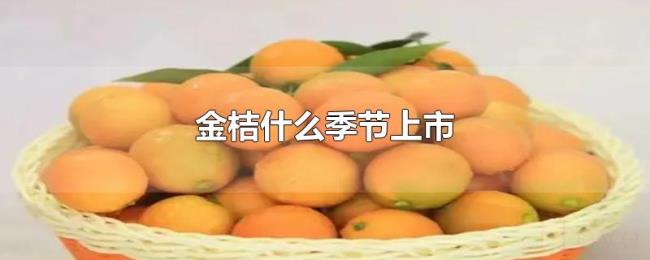 金桔什么季节上市