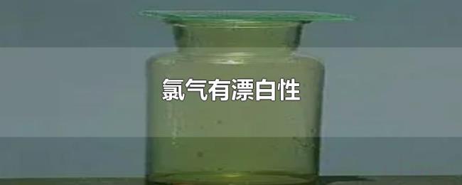 氯气有漂白性 氯气有漂白性