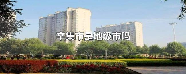 辛集市是地级市吗