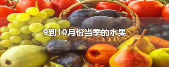 9到10月份当季的水果