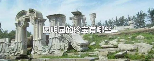 圆明园的珍宝有哪些 圆明园的珍宝有哪些