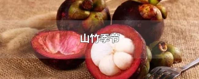 山竹季节