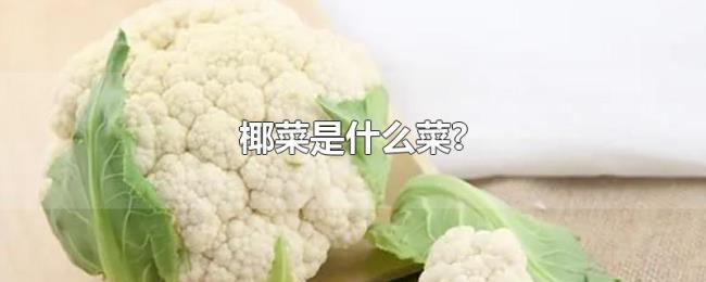 椰菜是什么菜? 椰菜是什么菜?