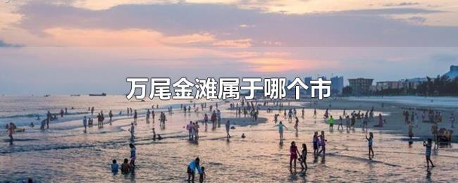 万尾金滩属于哪个市 万尾金滩属于哪个市