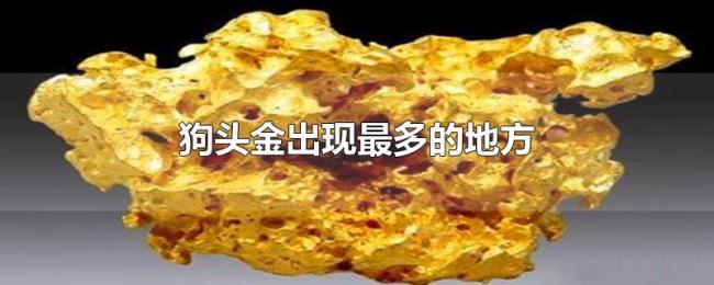 狗头金出现最多的地方 狗头金出现最多的地方