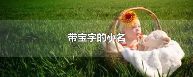 带宝字的小名 带宝字的小名