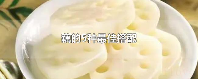 藕的5种最佳搭配 藕的5种最佳搭配
