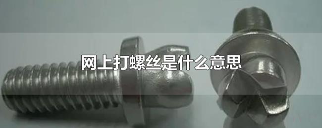 网上打螺丝是什么意思