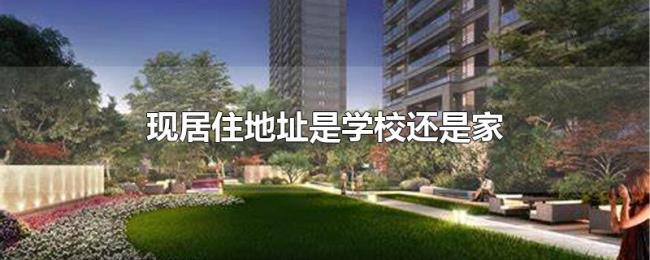 现居住地址是学校还是家 现居住地址是学校还是家
