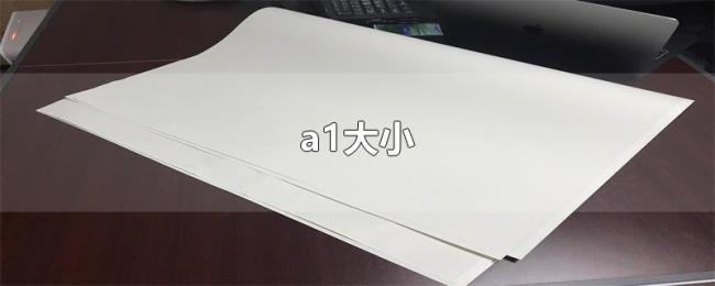 a1大小 a1大小