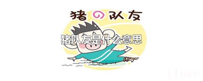 猪队友是什么意思 猪队友是什么意思