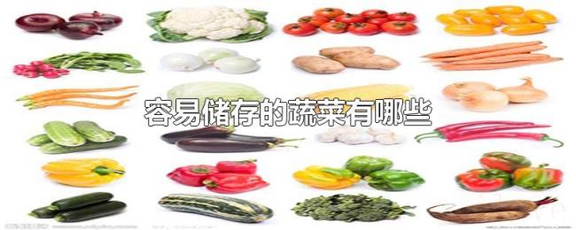 容易储存的蔬菜有哪些 容易储存的蔬菜有哪些