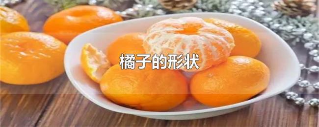 橘子的形状
