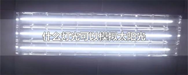 什么灯光可以模拟太阳光