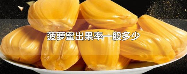 菠萝蜜出果率一般多少