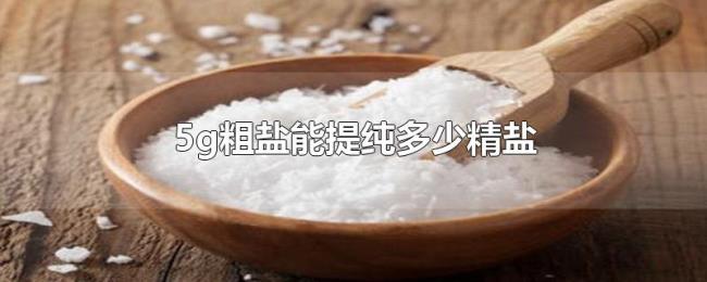 5g粗盐能提纯多少精盐 5g粗盐能提纯多少精盐