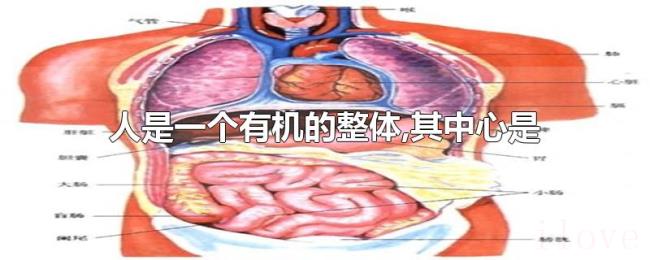 人是一个有机的整体,其中心是
