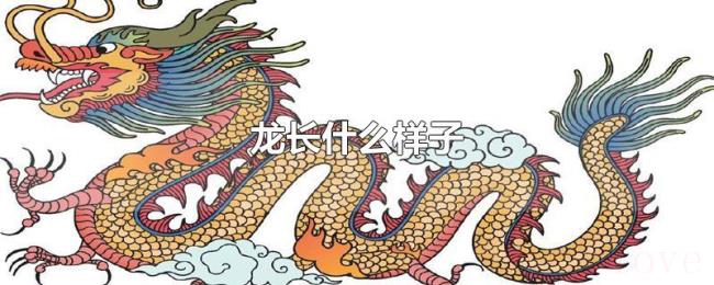 龙长什么样子 龙长什么样子