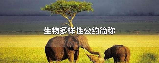 生物多样性公约简称 生物多样性公约简称