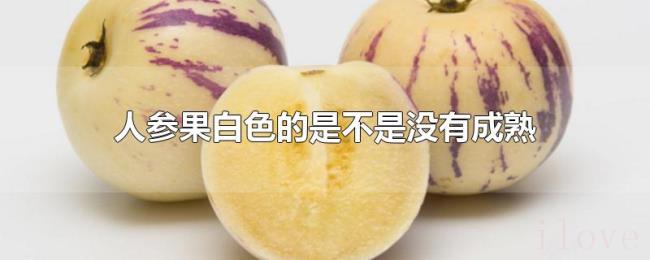 人参果白色的是不是没有成熟 人参果白色的是不是没有成熟