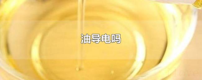 油导电吗 油导电吗