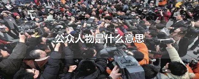 公众人物是什么意思