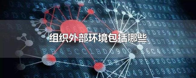 组织外部环境包括哪些 组织外部环境包括哪些