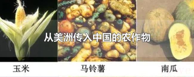 从美洲传入中国的农作物