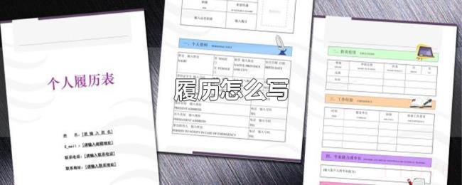 履历怎么写 履历怎么写