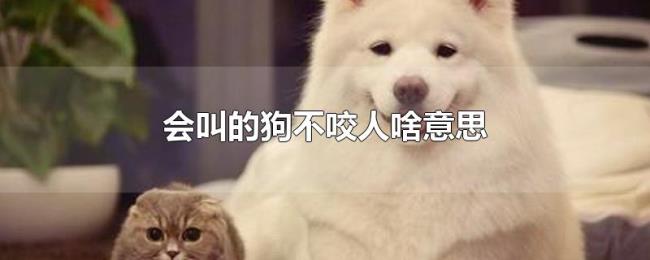 会叫的狗不咬人啥意思