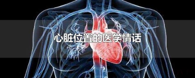 心脏位置的医学情话