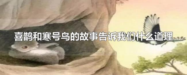 喜鹊和寒号鸟的故事告诉我们什么道理