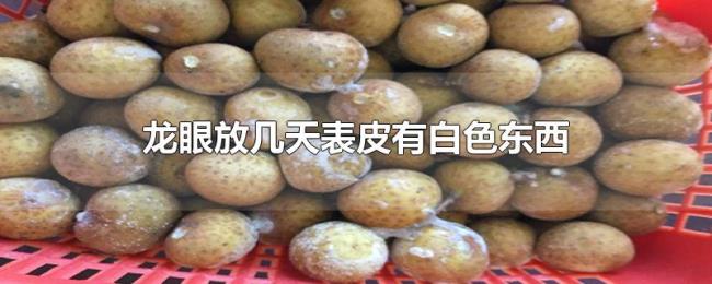 龙眼放几天表皮有白色东西