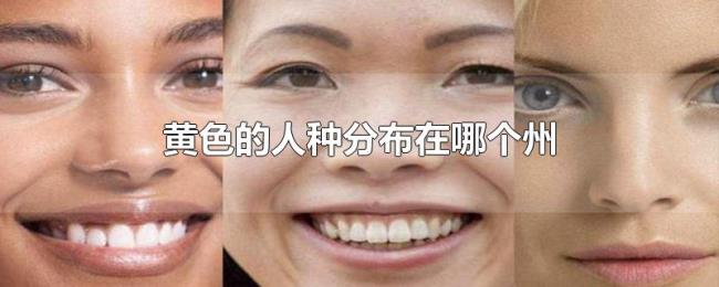 黄色的人种分布在哪个州